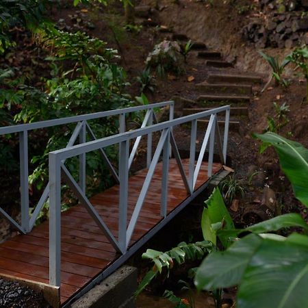 Volcano Gold Loft La Fortuna 외부 사진