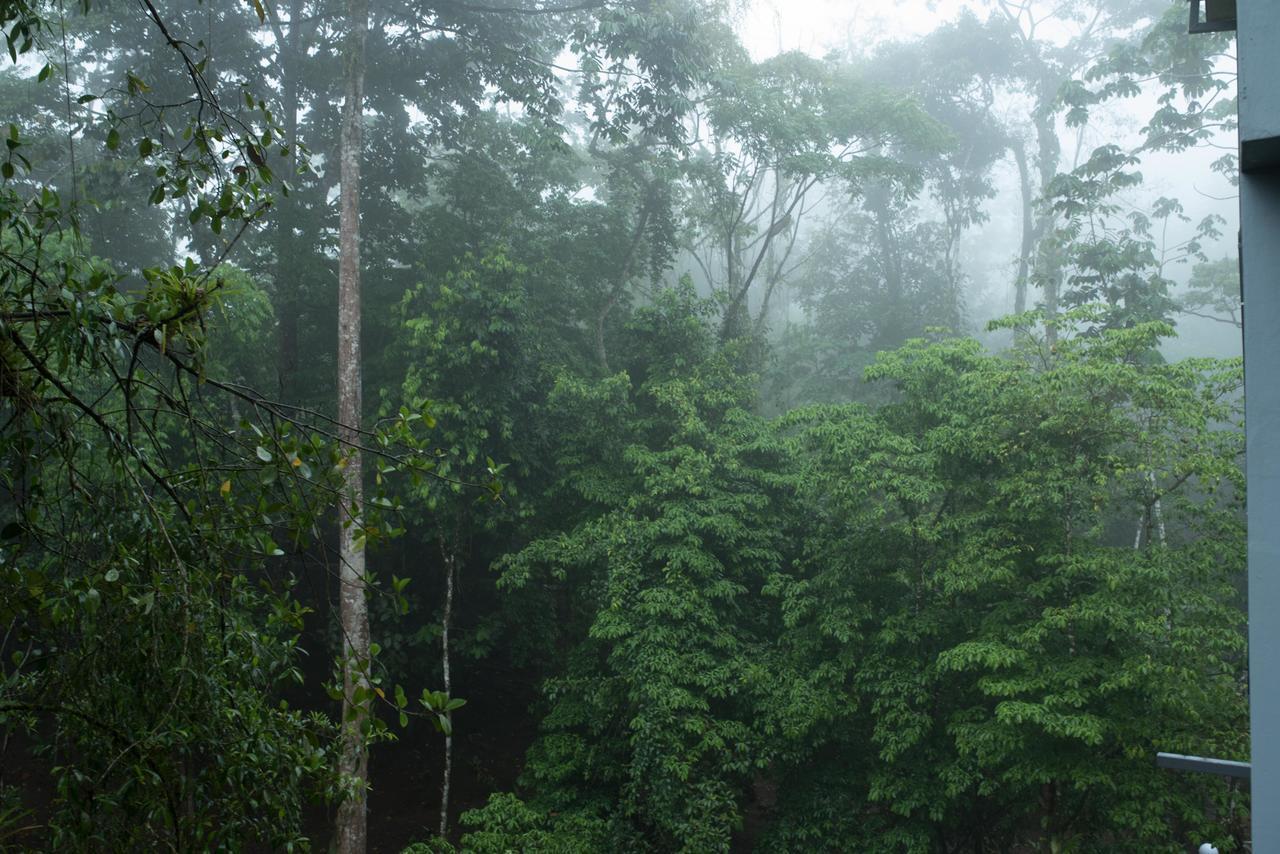 Volcano Gold Loft La Fortuna 외부 사진