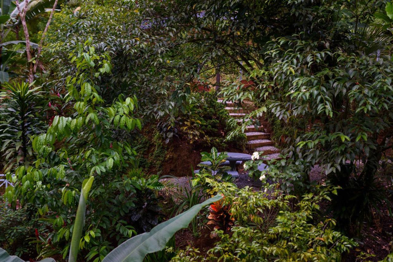 Volcano Gold Loft La Fortuna 외부 사진
