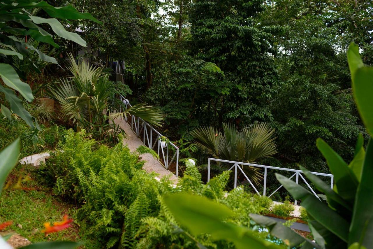 Volcano Gold Loft La Fortuna 외부 사진