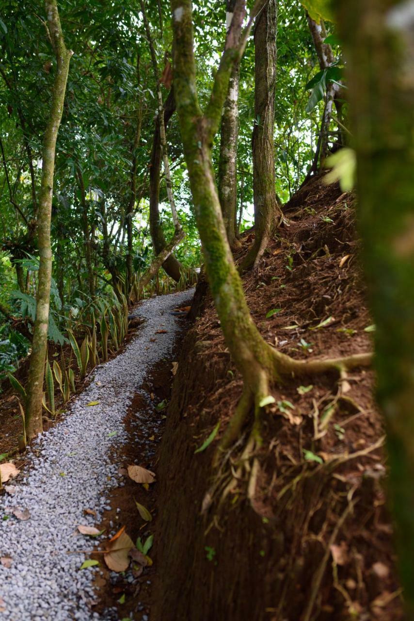 Volcano Gold Loft La Fortuna 외부 사진